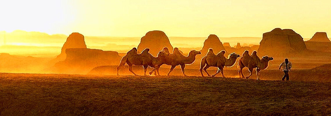 Northern Xinjiang Tour