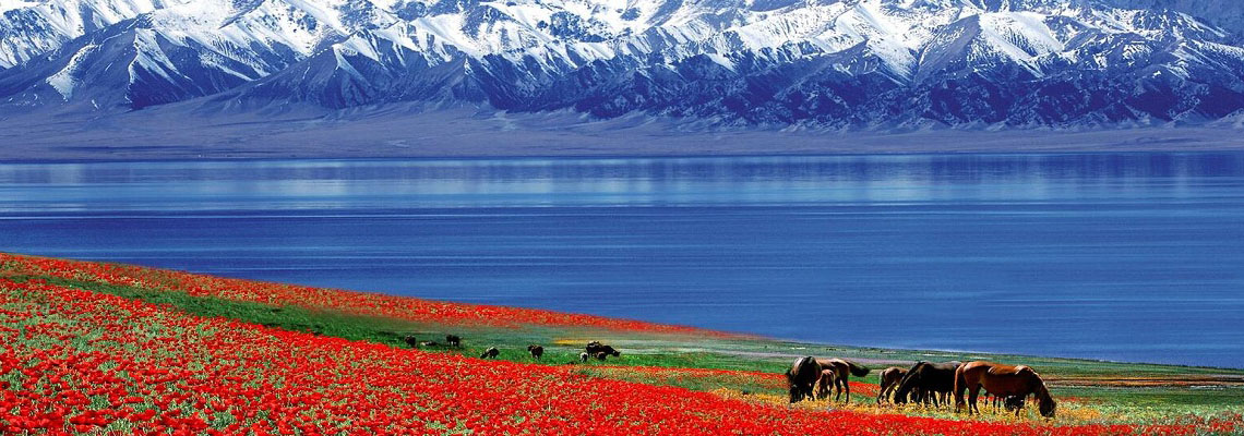 12 days Photography Tour on Northern Xinjiang