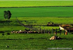 Kazakhstan Mountains