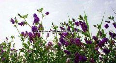 Introduction of Resources and Products from Western Regions