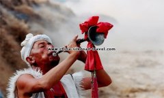 Musical Instruments Imported from Western Regions