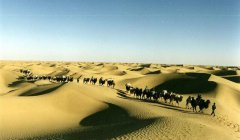 Why Take the Silk Road Tour in China