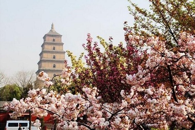 Big Wild Goose Pagoda