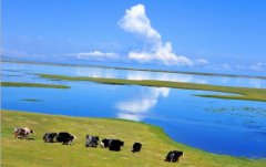 Qinghai Route of Silk Road