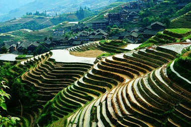 Longsheng Terraces